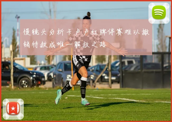 慢镜头分析卡卢卢红牌停赛难以撤销特赦成唯一解救之路