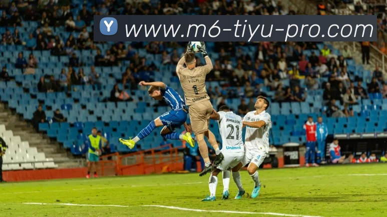 M6体育平台生态图